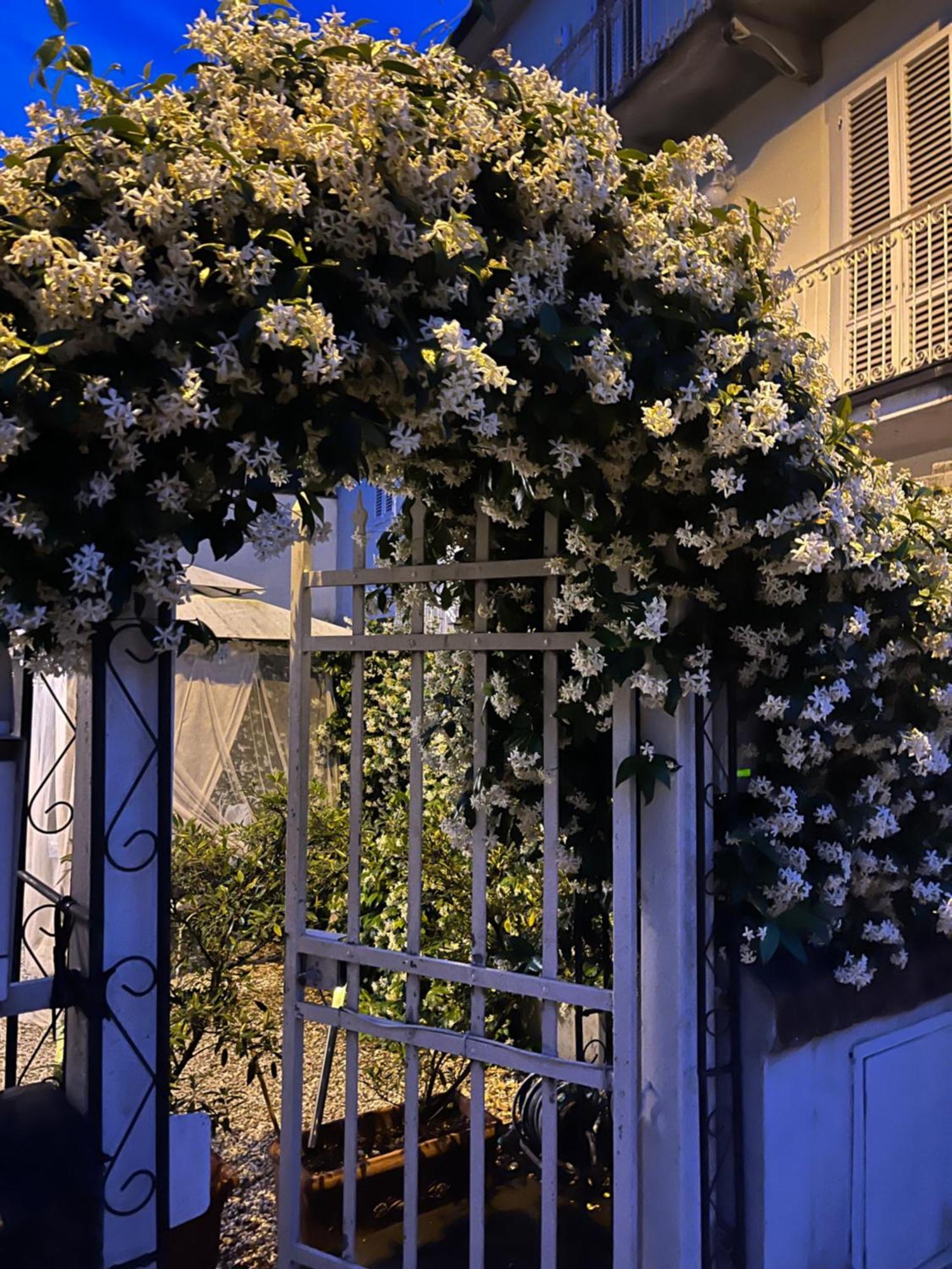 Whiteloft In Lucca Villa Exterior photo